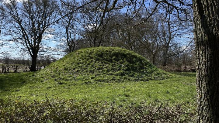 Møllerhøj