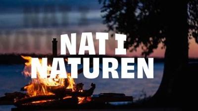 Nat i naturen